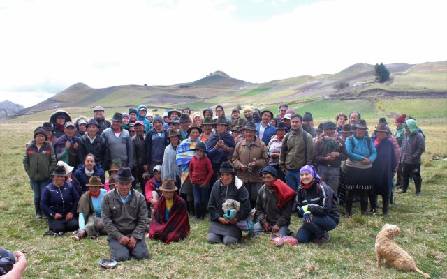 grupo 2 grupo 2