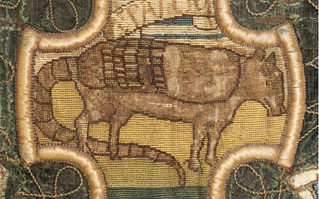El armadillo de la reina María